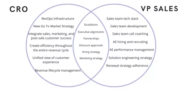 CRO Responsibilities versus a Sales VP Responsibilities and where they overlap