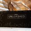 Blog_Unleashed_EMEA_2020