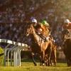 Blog_Faster_Horse_Sales_Performance_Management